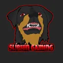 Slíbhín Gaming