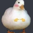 Quack Discord Server Icon