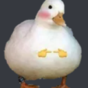 Quack Discord server icon