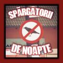 Spărgătorii De Noapte Discord Server Icon