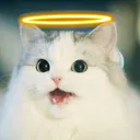 Look at My Halo