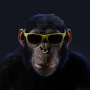 CardanoApes