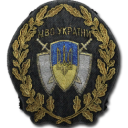 Ukrainian Military Server Icon