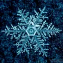FrostBite