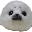 jellycord