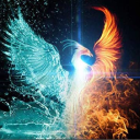 We are the beginning