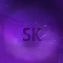 SkyS 🧊 — мониторинг Discord сервера, статистика и рейтинг
