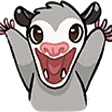 opossum fan club