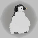 plenguin heast