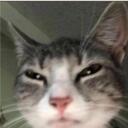 元 REINO NIEBLA |    |social Discord Server Icon