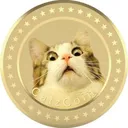 Catzcoin