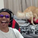 VUCA OU NÃO VUCA