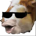 Gpog Continental