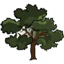 Eric Oaks