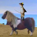 cat on hors server