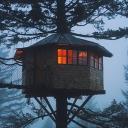 The Tree House