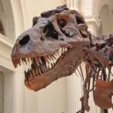 Cretaceous Creek