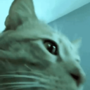 Empire Discord server icon