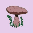 Hayle’s Habitat