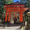 Chiru Shrine™ Discord Server Icon