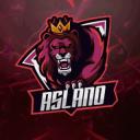 Aslano gamer icon