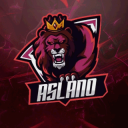 Aslano gamer icon