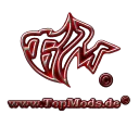 Offizieller TopMods Discord