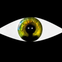 PARA Server Icon