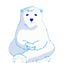 TPN™ | The Polar Network