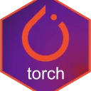 torch for R