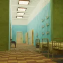 The Mental Institution