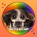 Skinny Pig Official