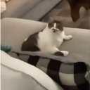 Porn Archiver Server Icon