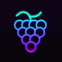 Grape Protocol | grapes.network icon