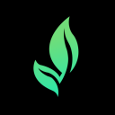 Beanstock icon