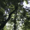 𝑇ℎ𝑒 𝑜𝑎𝑠𝑖𝑠 Discord server icon