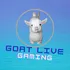 SarimDaGOAT's Server