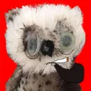 Trader Owl