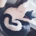 Skyblock Femboys Discord Server Icon