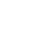 Jeskoolivestream
