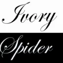 Ivory Spider's Web