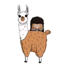 LLAMA LOUNGE 🦙