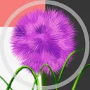 🎶┊allium. ❞ 📔