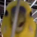 ムシ部屋