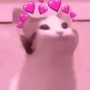 Pop Cat Community