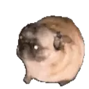 chicken nugget