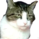Da W0r5t S3rv3r 0n D!5{0rd