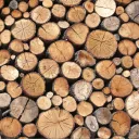 Mourning Wood Productions