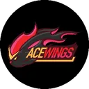 ACEWINGS