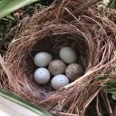 the egghole or something bru Discord Server Icon